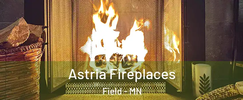 Astria Fireplaces Field - MN