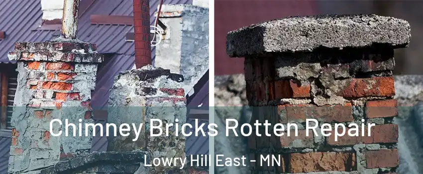 Chimney Bricks Rotten Repair Lowry Hill East - MN