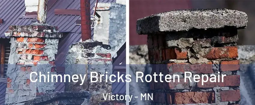 Chimney Bricks Rotten Repair Victory - MN