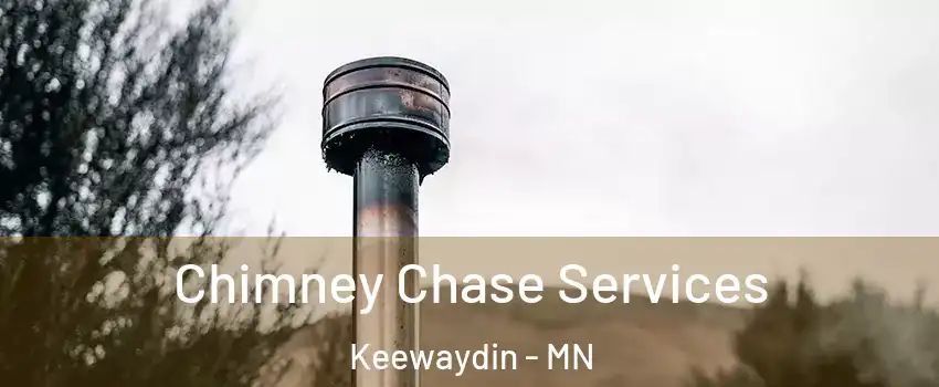 Chimney Chase Services Keewaydin - MN