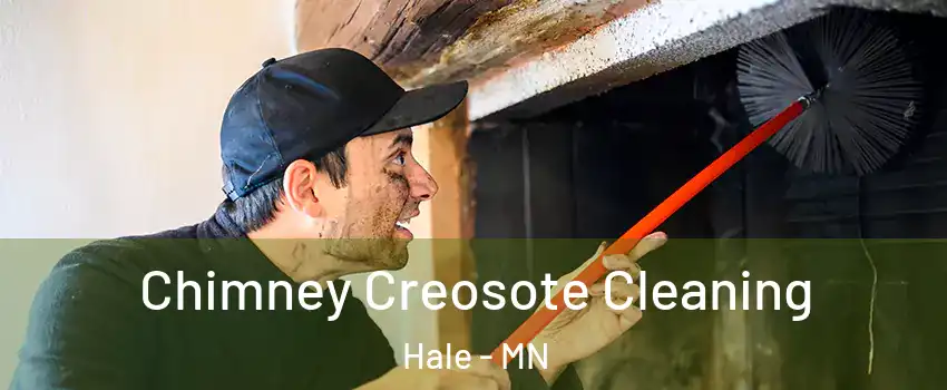 Chimney Creosote Cleaning Hale - MN