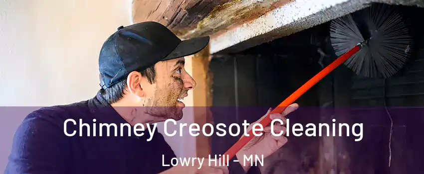 Chimney Creosote Cleaning Lowry Hill - MN