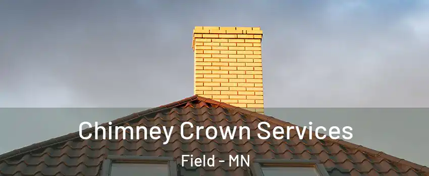 Chimney Crown Services Field - MN