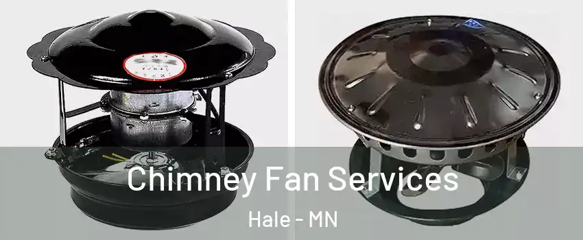 Chimney Fan Services Hale - MN