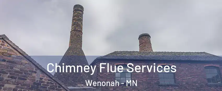 Chimney Flue Services Wenonah - MN