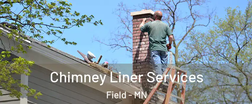 Chimney Liner Services Field - MN