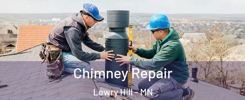 Chimney Repair Lowry Hill - MN