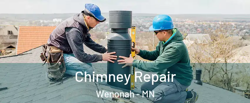 Chimney Repair Wenonah - MN