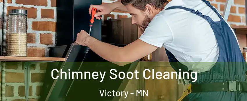 Chimney Soot Cleaning Victory - MN