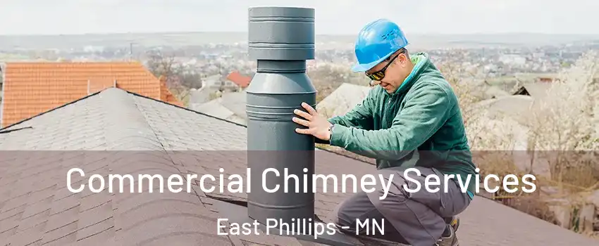 Commercial Chimney Services East Phillips - MN