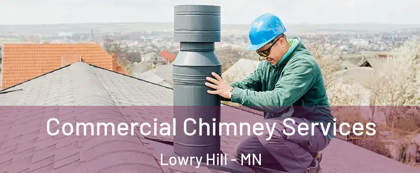 Commercial Chimney Services Lowry Hill - MN