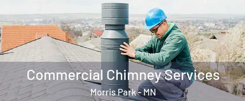 Commercial Chimney Services Morris Park - MN