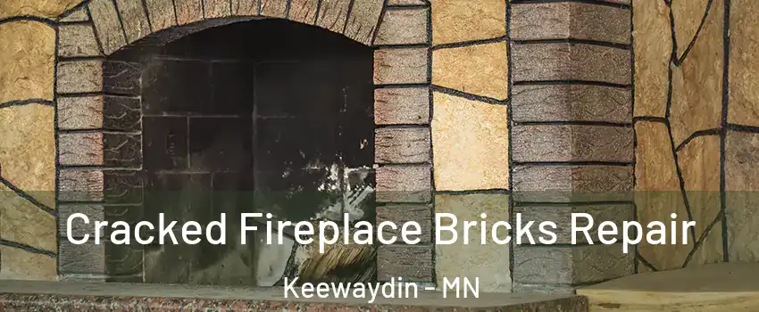 Cracked Fireplace Bricks Repair Keewaydin - MN