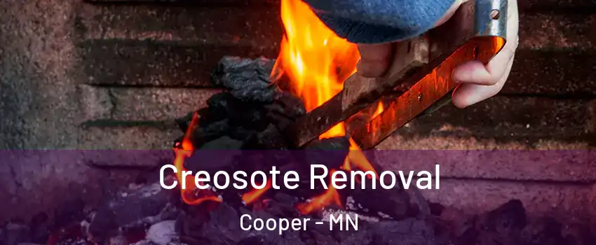 Creosote Removal Cooper - MN