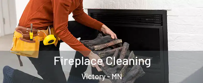 Fireplace Cleaning Victory - MN