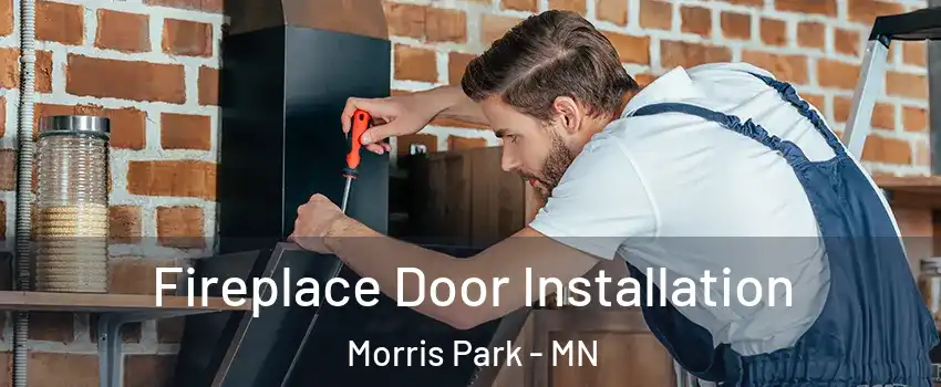 Fireplace Door Installation Morris Park - MN