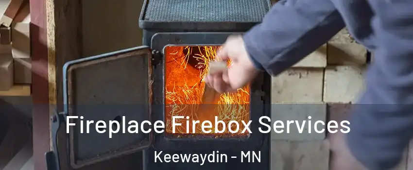 Fireplace Firebox Services Keewaydin - MN