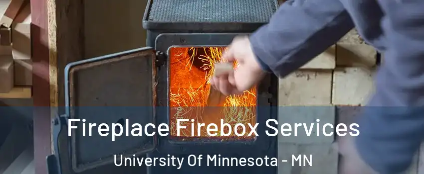 Fireplace Firebox Services University Of Minnesota - MN