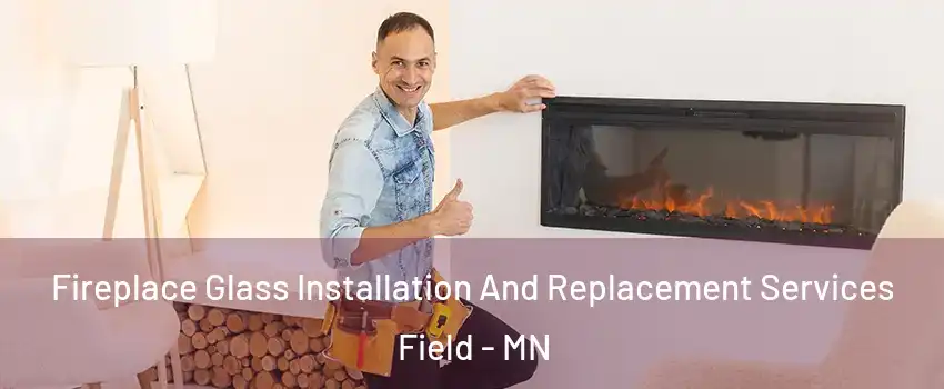 Fireplace Glass Installation And Replacement Services Field - MN