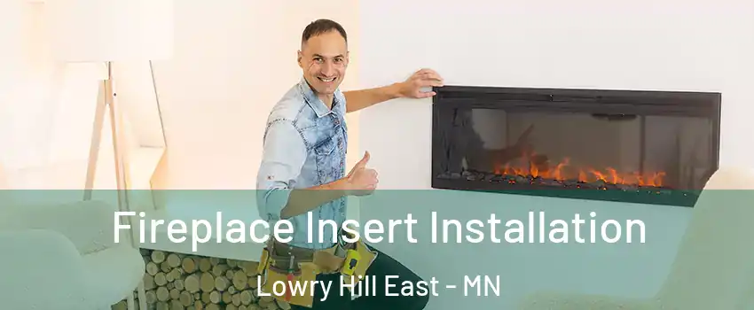 Fireplace Insert Installation Lowry Hill East - MN