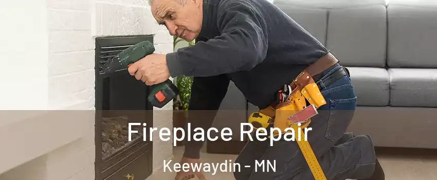 Fireplace Repair Keewaydin - MN