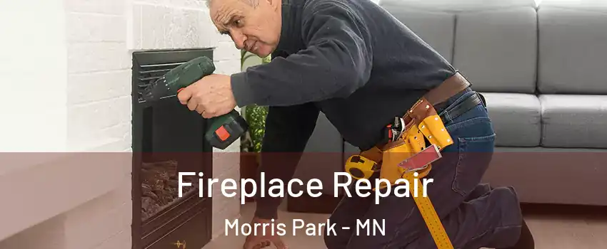 Fireplace Repair Morris Park - MN