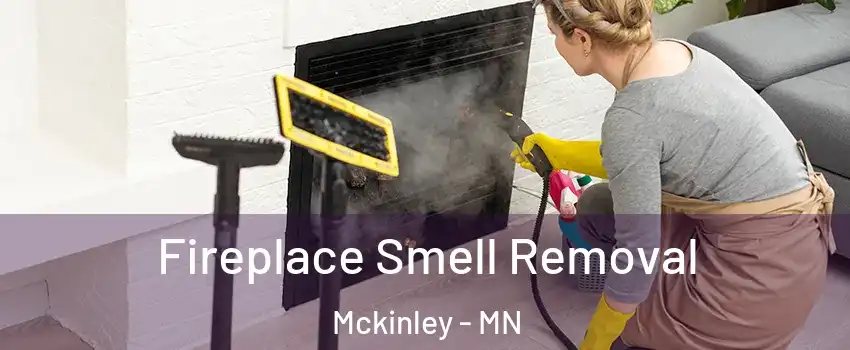 Fireplace Smell Removal Mckinley - MN