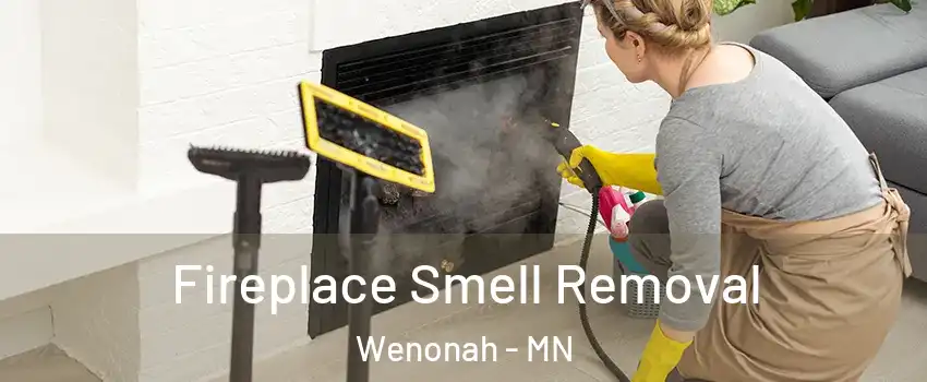 Fireplace Smell Removal Wenonah - MN