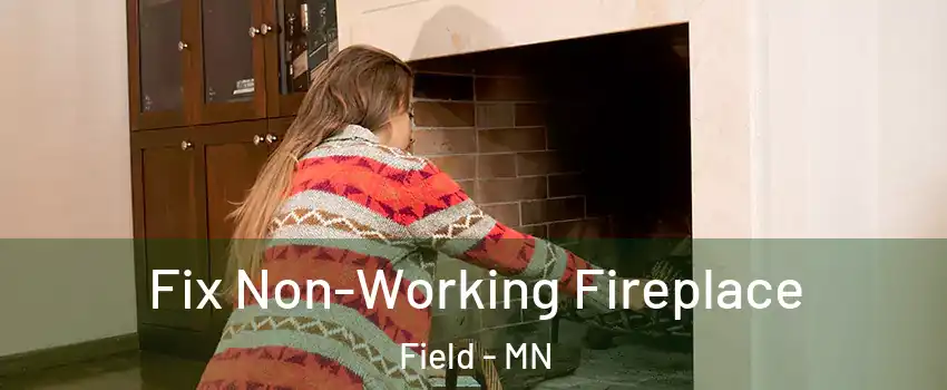 Fix Non-Working Fireplace Field - MN