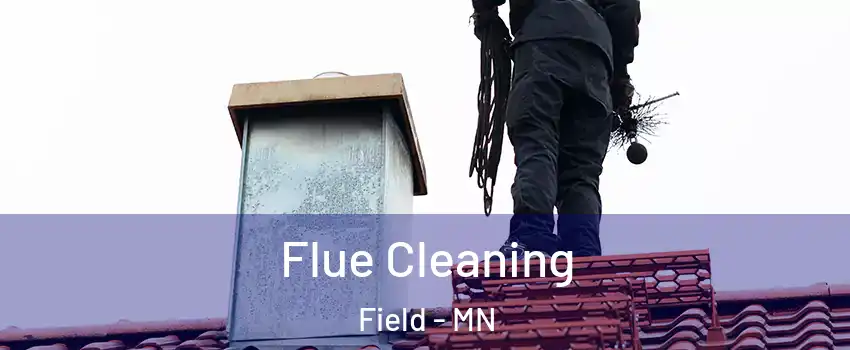 Flue Cleaning Field - MN