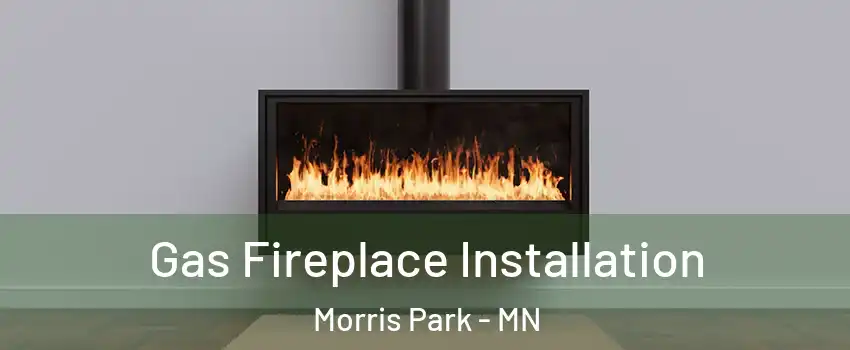 Gas Fireplace Installation Morris Park - MN