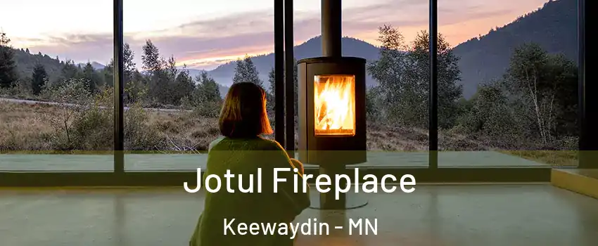 Jotul Fireplace Keewaydin - MN