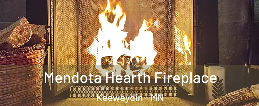 Mendota Hearth Fireplace Keewaydin - MN