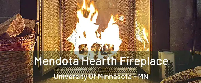 Mendota Hearth Fireplace University Of Minnesota - MN