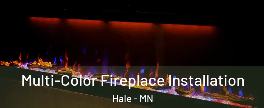 Multi-Color Fireplace Installation Hale - MN