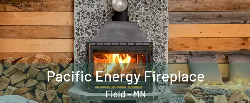 Pacific Energy Fireplace Field - MN