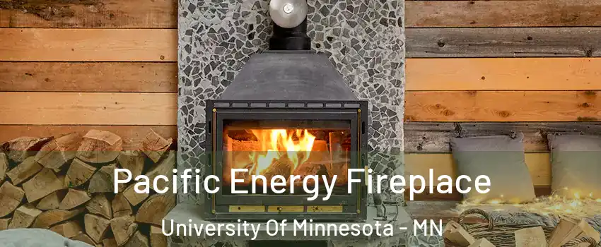 Pacific Energy Fireplace University Of Minnesota - MN