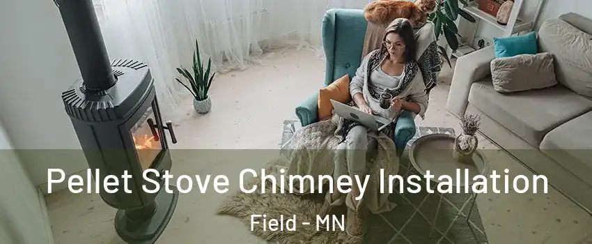 Pellet Stove Chimney Installation Field - MN