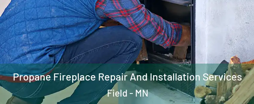 Propane Fireplace Repair And Installation Services Field - MN