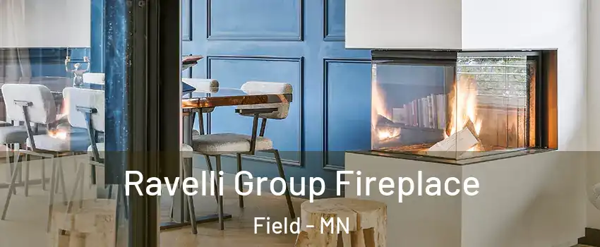 Ravelli Group Fireplace Field - MN