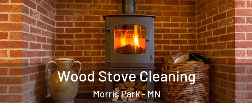 Wood Stove Cleaning Morris Park - MN